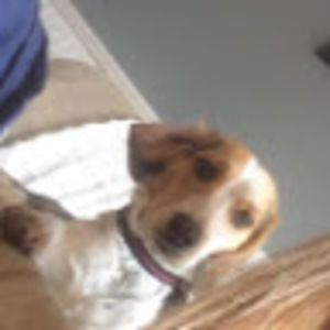 Meet your Posher, Lesley